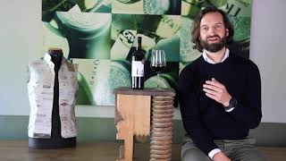 Wein erklärt Primitivo di Manduria DOC 14 Contessa Marina [upl. by Willumsen]