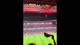 Championsleague feyenoord benfica [upl. by Aihtebat]