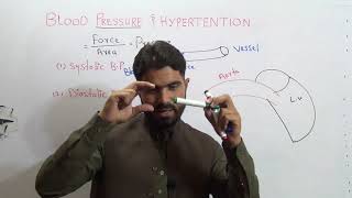 Blood Pressure Systolic and Diastolic Detail concept for Medical students in Urdu Hindi [upl. by Bathsheeb848]