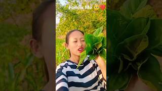 Latte Sak Ko Tihun 🤤❤️shorts youtubeshorts Vloger Shishir 24 [upl. by Mchail]