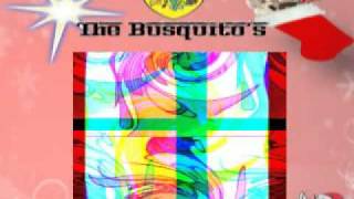 The Busquitos XMas CD Highlights [upl. by Nyasuh]