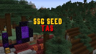 Minecraft SSG Speedrun but its a TAS [upl. by Enelrahc]