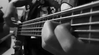 Avial  Chekele bass cover [upl. by Analihp]