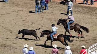 Calgary Stampede Rodeo 2024 [upl. by Kenison265]