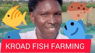 AMAZING FISH FARMING‼ KROAD KENYA 🇰🇪 [upl. by Udenihc]