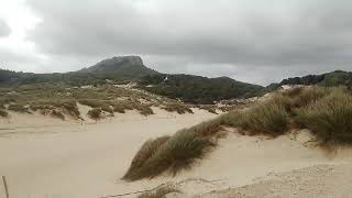 Mallorca Die Cala Mesquida bei Cala Ratjada am 121124 [upl. by Jacinto159]