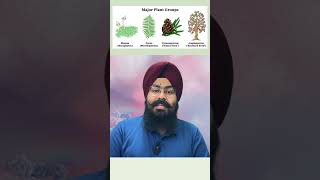 quotPlantae Kingdom Overview  NCERT Explained for NEET UG Aspirantsquot neetncertbiology ncert biology [upl. by Nosdrahcir]