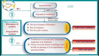 bilan la contraception hormonale [upl. by Bhayani]