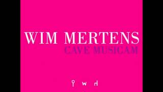 Wim Mertens  Tout est Visible [upl. by Illa]