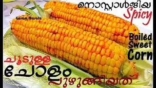 തണുപ്പത്തു നല്ലചൂടുള്ള ചോളം പുഴുങ്ങിയത് Spicy Boiled Sweet Corn on the Cob Delicious Street Food [upl. by Aralomo]