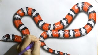 Realistic Drawing of Scarlet Kingsnake [upl. by Nnaasil926]