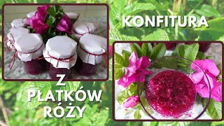 Konfitura z płatków róży  jak zrobić Stary przepis w prostym nowoczesnym wydaniu rose petal jam [upl. by Durrace]