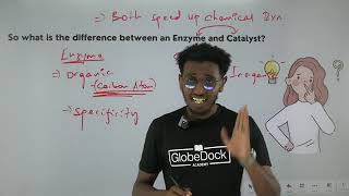 GlobeDock Biology grade 11 unit 3 what are enzyme [upl. by Dallis]