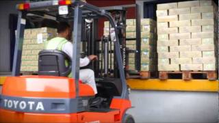 Forklift Safety Urdu [upl. by Isola]