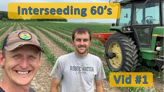 🍀 Interseeding Cover Crops into 60 Inch 🌽  Vid 1 [upl. by Eiliab]