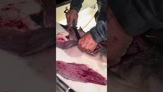 How to fillet rockfish how to fillet striped bass [upl. by Arie]