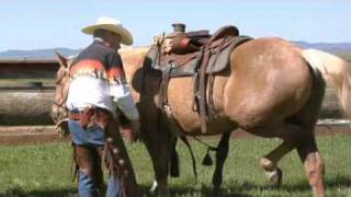 How to Western Saddle a Horse [upl. by Airekal]