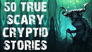 50 TRUE Disturbing Deep Woods amp Cryptid Scary Stories In The Rain  Horror Stories To Fall Asleep To [upl. by Einahpets244]