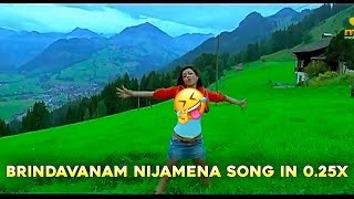 Brindavanam nijamena song in 025x [upl. by Eicarg124]