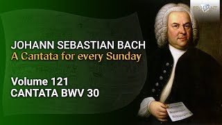 JS Bach Freue dich erlöste Schar BWV 30  The Church Cantatas Vol 121 [upl. by Deutsch]