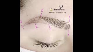 microblading eyebrows tutorial [upl. by Ennywg355]