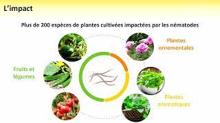 EVOLUTIVE AGRONOMY  Une nouvelle solution pour lutter contre les nématodes phytoparasites [upl. by Emlyn]