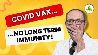 The TRUTH About Covid Vaccine Immunity IMPORTANT [upl. by Julius]