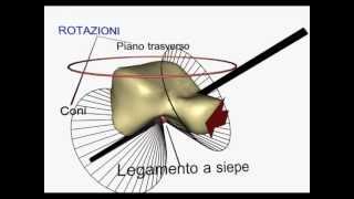 Variazione della geometria di un solido descritto da un segmento [upl. by Sung]