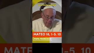 ▶️ Reflexión del PAPA FRANCISCO de MATEO 18 15 10 papafrancisco evangeliodehoy evangeliodeldia [upl. by Noeht]