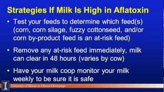 Aflatoxin and Mycotoxin Risks [upl. by Neehahs]