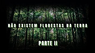 NÃO EXISTEM FLORESTAS NA TERRA PARTE ll [upl. by Alcus]