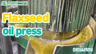 Flaxseed oil Flax seeds cold press flaxseed press [upl. by Aneras]