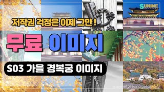 S03저작권 걱정 없는 무료 이미지  가을 경복궁 이미지 [upl. by Aenet]