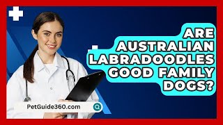 Are Australian Labradoodles Good Family Dogs  PetGuide360com [upl. by Kirenoj]