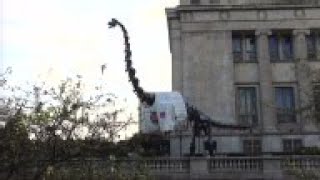 Iconic Chicago Dinosaur Catches Cubs Fever [upl. by Rempe]