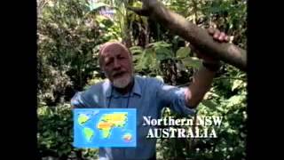 Permaculture One Bill Mollison [upl. by Deborah]