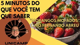 5 minutos do que você tem que saber de quotMorangos Mofadosquot de Caio Fernando Abreu [upl. by Latsryc]