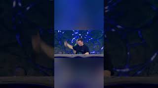 Hardwell  Move In Tomorrowland 2024 W2 [upl. by Ddarb]