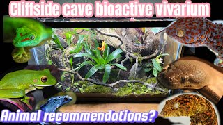 Bioactive cave vivarium build🐊 build showcase [upl. by Llennoj]