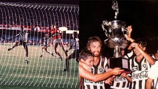 BOTAFOGO  CARIOCA 1989 CAMPANHA COMPLETA [upl. by Annej285]