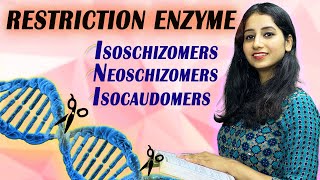 Restriction Enzyme Types I Isoschizomers Neoschizomers and Isocaudomers I RDT I Biotechnology [upl. by Newbill]