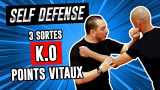 3 types de KO en KYUSHO JITSU Points de pression  Self défense [upl. by Vardon]