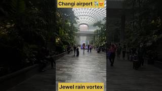 Changi airport tour singapore merchantnavy travel travelblog vlog [upl. by Guria872]