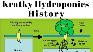 History of the Suspended Pot Non Circulating Kratky Hydroponic Method [upl. by Enelram]