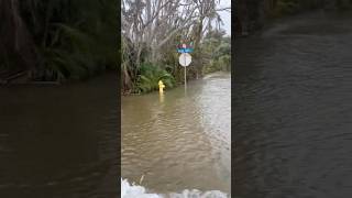 sanibelisland hurricanehelene Middle Gulf going under stormsurge flood [upl. by Enerual544]