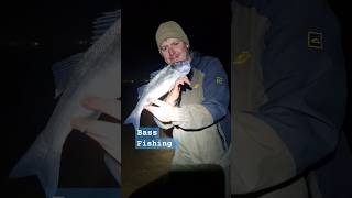 Bass Fishing UK with fresh Ragworm bass bassfishing beachfishing beach Fishing fish seabass [upl. by Yettie326]