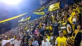 LA RAZA AURINEGRA quotDALE DALEEEEE GUARANIIIquot [upl. by Kesia]