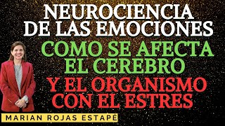 Versión Completa La neurociencia de las emociones Marian RojasEstapé psiquiatra y escritora [upl. by Aidyn]