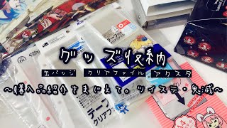 【収納】グッズ収納！購入品開封しながら、缶バッジやクリアファイルを収納していく動画・缶バッジ・クリアファイル【マイコレ】 [upl. by Hewett]