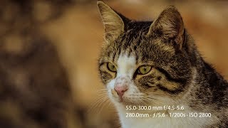 Nikon D3300 Photo Samples [upl. by Malim]